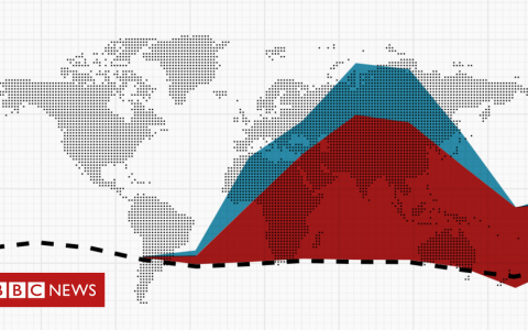 Coronavirus: What is the true death toll of the pandemic?