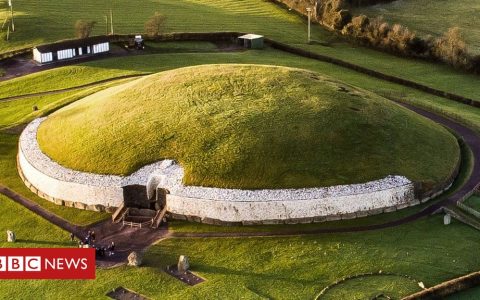 DNA review reveals Ireland’s age of ‘god-kings’