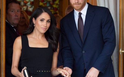 Prince Harry and Meghan Markle Guidance Marketing campaign to Boycott Fb Promoting