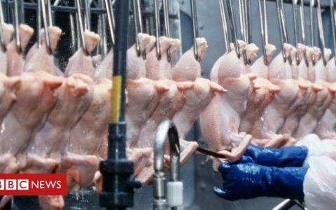 Waitrose will never ever stock chlorinated hen, says manager