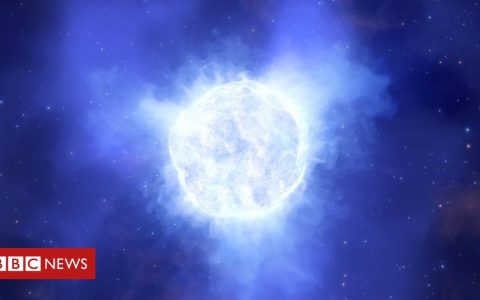 Secret over monster star’s vanishing act