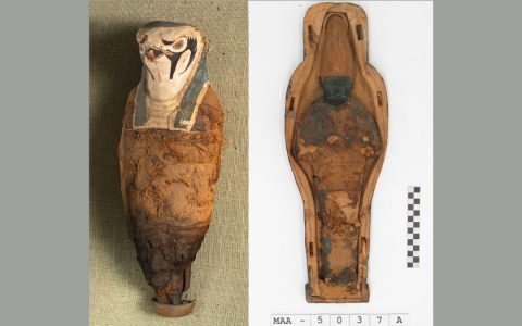 Small ancient Egyptian mummies keep surprises within … and they aren’t human