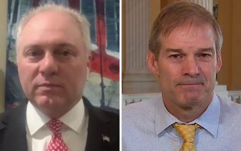 Steve Scalise, Jim Jordan hit back again at Pelosi for calling GOP ‘enemies of the state’: Democrats ‘want chaos’