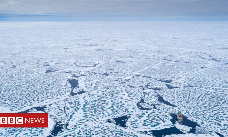 Arctic sea ice is shrinking to a record low