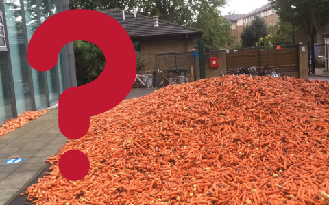 Why carrots were dropped at Goldsmiths University in London