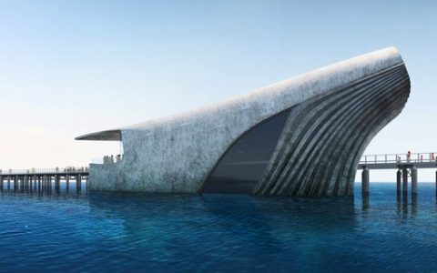 The world’s largest marine observatory to be built in Australia – Casa Vogue