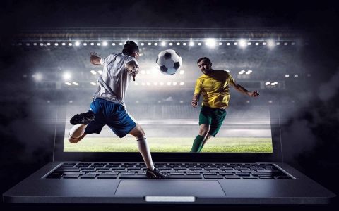 How to Choose the Right Sports Betting Platform?