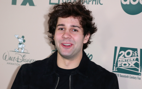 After immigration problems, David Dobrik manages to return to the United States