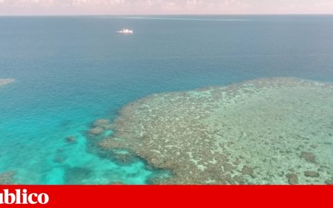 Could artificial clouds help Australia’s Great Barrier Reef?  |  Climate