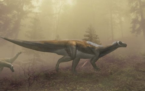 Dinosaur footprints found in Australia belong to “friendly herbivores” – Galileo Magazine