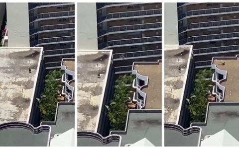 Real-life Spider-Man caught jumping 5 meters between buildings – Mone