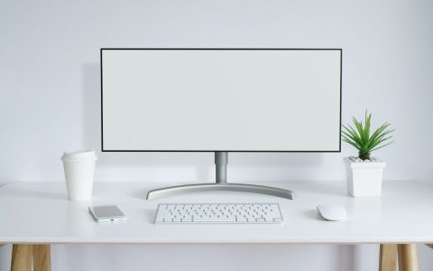 Ultrawide Monitors: 5 Models to Know