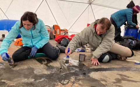 Ichthyosaur fossils recovered in Chilean Patagonia – 05/13/2022 – Science