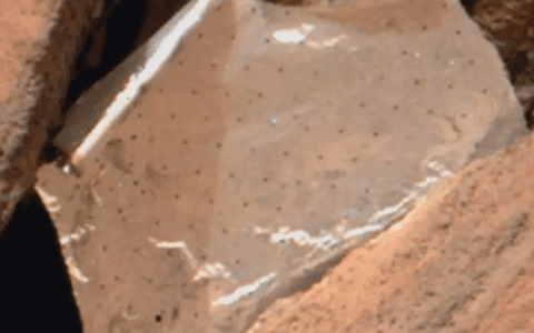 Robot finds ‘something unexpected’ on the surface of Mars