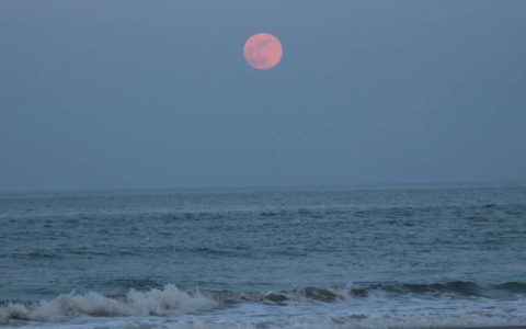 The Strawberry Moon is visible in the sky this Tuesday (14);  Know what time it starts – Science